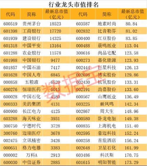 红豆股份引领时尚潮流，展现全新品牌风貌