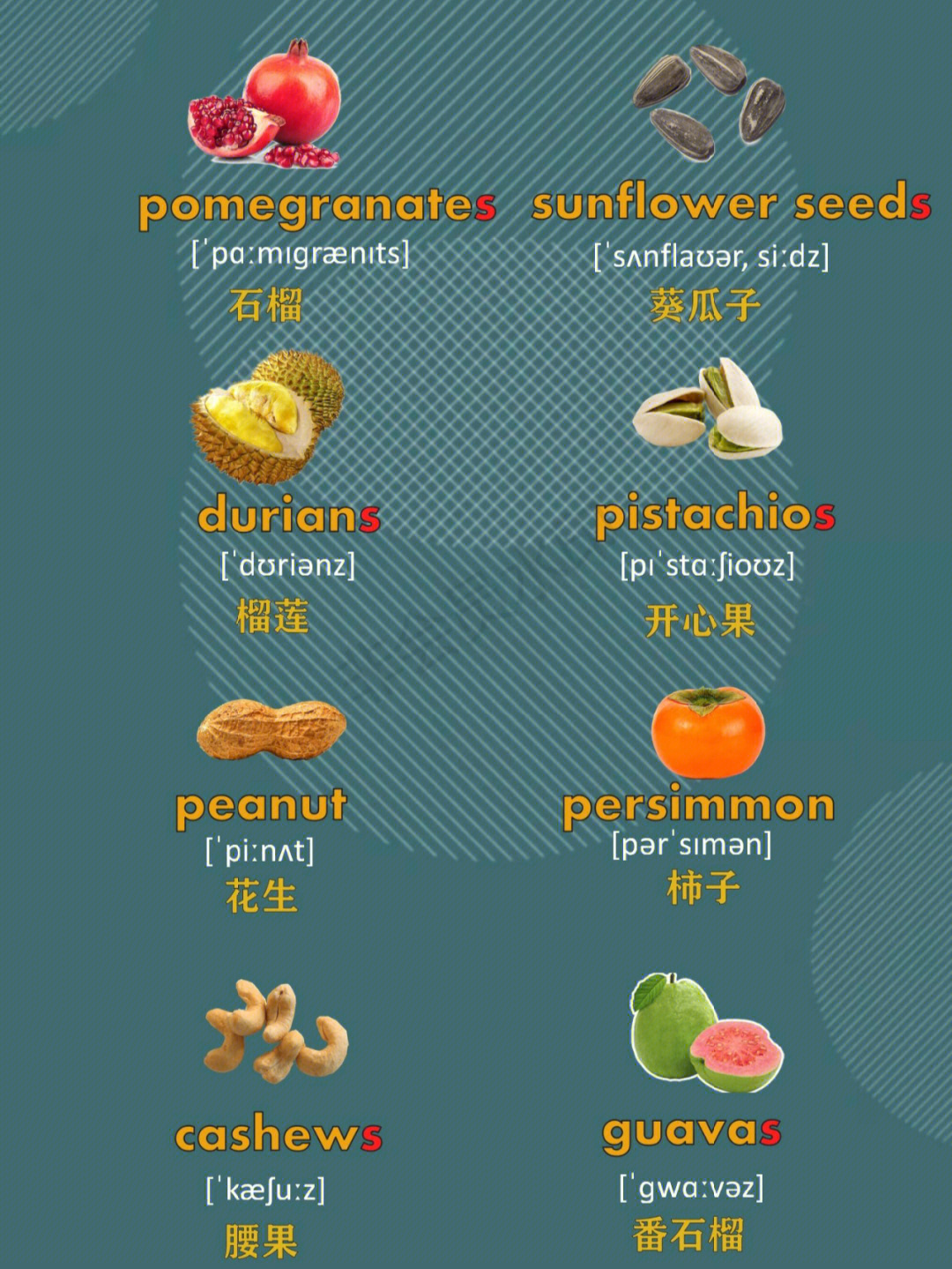 探索最新鲜的英文，感受语言的鲜活气息