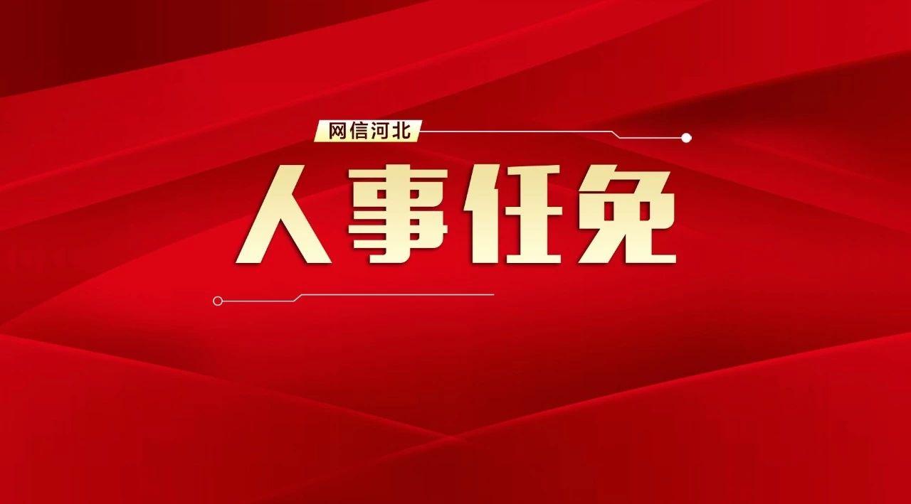 河北省领导层最新任免动态，新变化展望未来发展