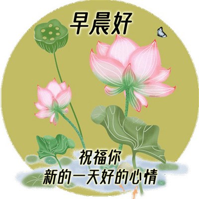 早安图片精选，最新精选图片集 2023年最新版