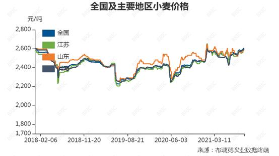 小麦行情最新动态，价格分析与未来展望