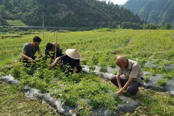 木溪乡领导最新概览