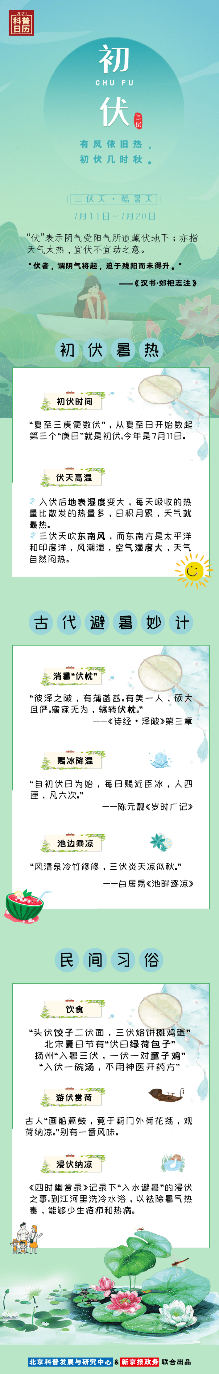 前沿科技与创新交汇点，探索最新4438网站信息