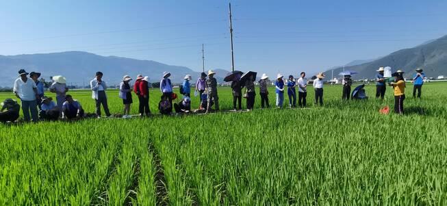 涛源乡领导团队引领地方发展新篇章