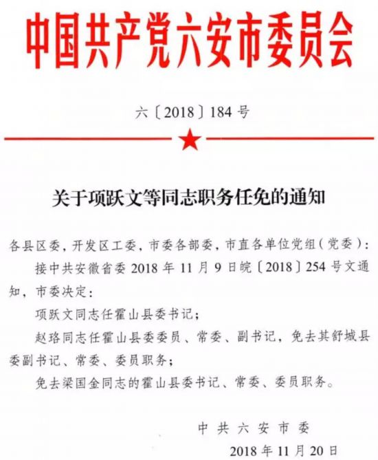 衡吴村民委员会人事任命完成，重塑乡村领导团队，引领村级发展新篇章