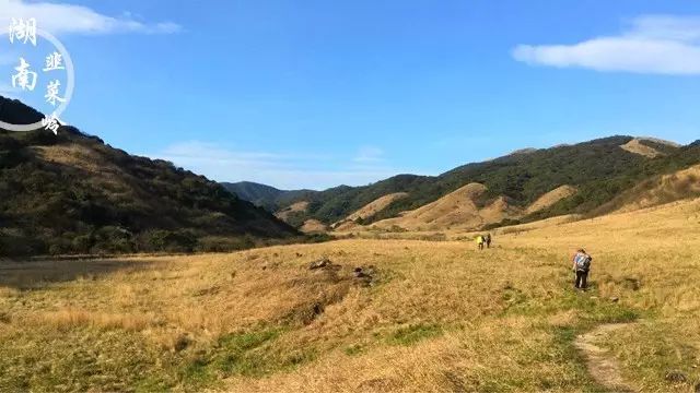 岭峰林场领导团队引领未来发展新篇章