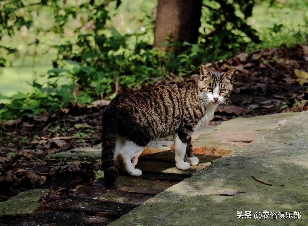 二里半街道最新项目重塑城市面貌，助力区域发展提速