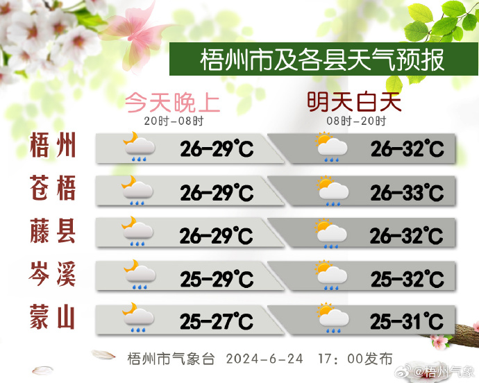 2024年12月12日 第14页