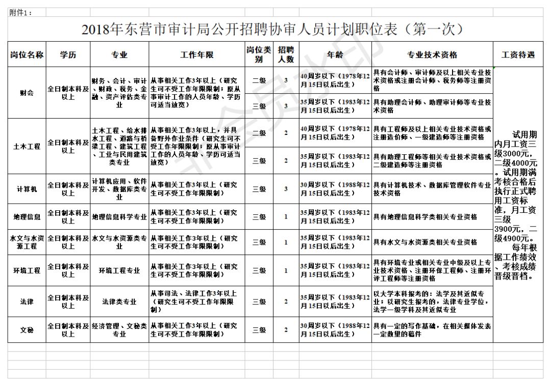 雨山区审计局招聘公告详解