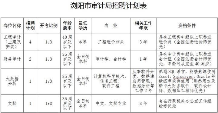 芙蓉区审计局最新招聘公告全面解读