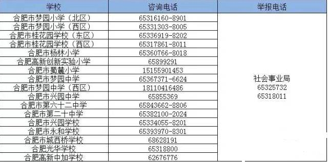 城西区初中最新招聘信息发布及其区域教育生态影响分析