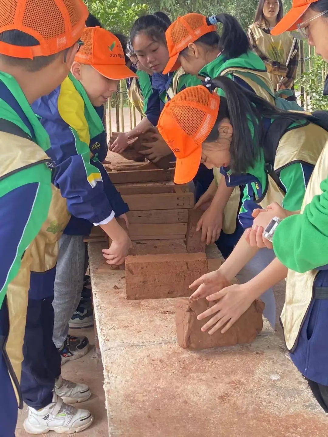 西华县小学未来发展规划展望