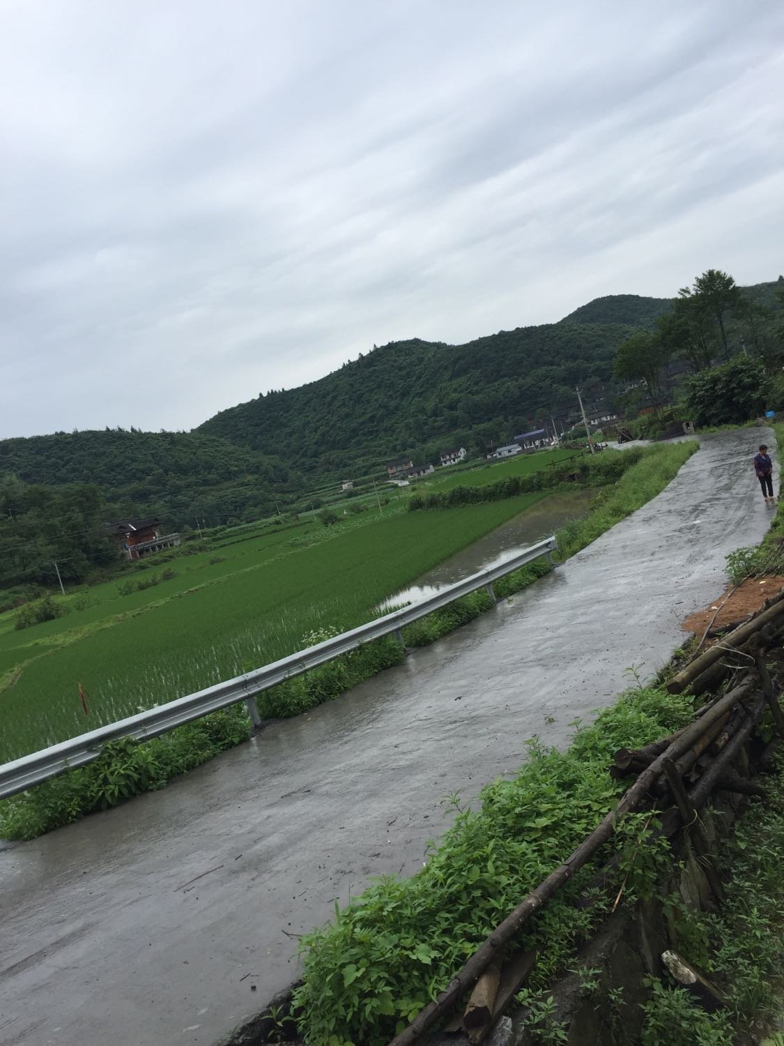 前坪村民委员会天气预报更新通知