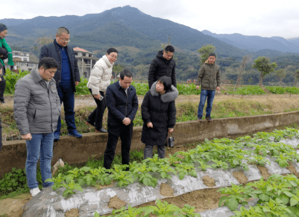 南靖县农业农村局新项目推动农业现代化助力乡村振兴